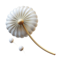 stunning modern A Single Dandelion Seed Floating in the high quality png
