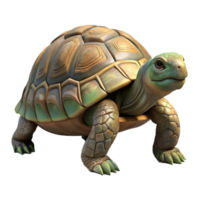 stunning minimalist A Wise Old Tortoise Slowly Walking authentic png