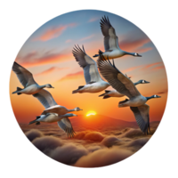 wonderful creative A Flock of Migrating Geese Flying in a V high resolution png