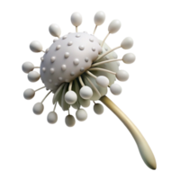 wonderful modern Dancing Dandelion Cutout White Seeds Transparent Background exclusive png