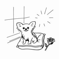 Cute Chihuahua on Pillow with Rose vector