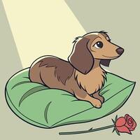 Dachshund on Pillow with Rose vector