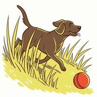Chocolate Lab Running with Ball in Grass vector