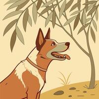Red Heeler Dog Under Olive Tree vector