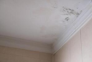Horizontal Serious mildew and mold problem on ceiling. Mold removal service. Affected roof from rain. photo