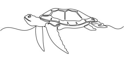 sea turtle continuous on line drawing vector
