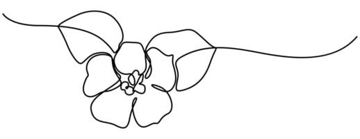 Modern illustration. African violet in continuous on line drawing style. vector