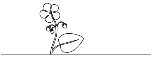 Continuous on line drawing of an African violet flower, simple vector
