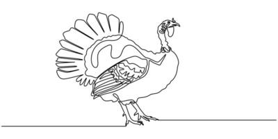 Continuous one line drawing of turkey for livestock and farming concept vector