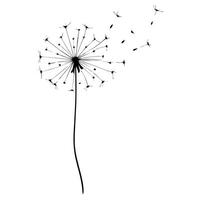 Minimalist Dandelion Silhouette With Seeds Blowing In The Wind On White Background vector