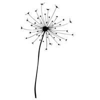 Single Black Dandelion Silhouette On White Background For Graphic Design Projects vector