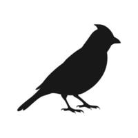 Silhouette Of A Cardinal Bird Standing Isolated On A White Background vector