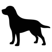 Standing Labrador Retriever Black Silhouette Isolated On White Background Graphic vector