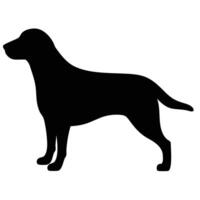 Sleek Black Labrador Retriever Silhouette Standing On A White Background Design vector
