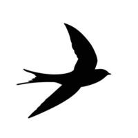 Swift Bird Silhouette Graceful Flight Symbol Of Freedom And Speed On White Background vector