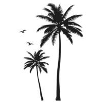 Two Palm Trees Silhouette With Flying Birds On A White Background vector