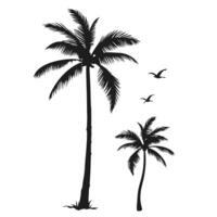 Silhouette Of Palm Trees And Birds Flying On White Background Graphic vector