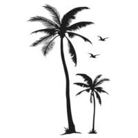Two Palm Trees And Birds Silhouettes In Format On White Background vector