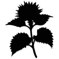 Silhouette Image Of A Spiky Leaved Plant Against White Background Simple Design vector