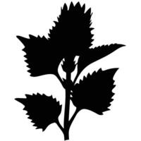 Black Silhouette Of A Plant Stem With Jagged Leaves On White Background vector
