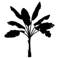 Tropical Tree Silhouette With Large Leaves On White Background Minimalist Style vector