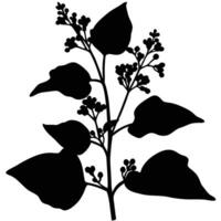 Silhouette Of A Flowering Branch With Leaves And Buds In Black And White vector