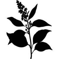 Isolated Silhouette Of A Lilac Branch With Leaves And Flowers On White vector