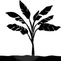 Black Silhouette Of Banana Tree Planted On The Ground Isolated On White Background vector