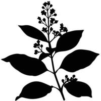 Black Silhouette Of A Branch With Leaves And Flowers Minimalist Design vector