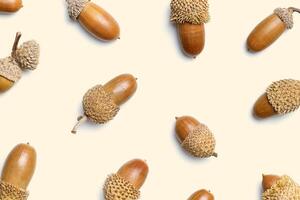 Acorn natural and painted golden on beige background. Autumn time concept. Fall harvest season, autumnal natural materials, fashion pattern from acorns. Trend nature flat lay, aesthetic fall photo