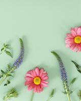 Stylish botanical background with veronica purple flower, pink chrysanthemum flower. Blooms, plants and leaves pattern, spring summer concept. Nature design botanical flat lay, top view photo