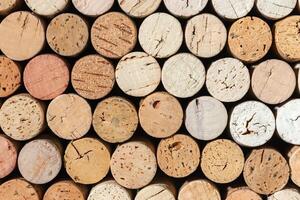 Set of red wine cork from white wine, natural texture bottle stoppers top view, beige background from close up wooden corks. Natural textured stoppers. Wine card background for winemaking or bar photo