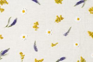 Creative summer floral flat lay from wildflowers, blossoming daisy, veronica and bedstraw flowers on cotton textile background. Summer still life, beautiful blooms, nature design photo