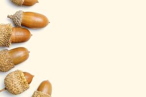 Nature Acorns on beige background. Autumn time concept. Fall harvest season, autumnal natural materials, dried seed oak tree. Trend top view flat lay, aesthetic fall image, neutral decor photo