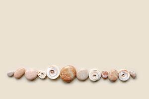 Top view close up colored pebbles sea stones and shells on sand color background. Row from natural round smooth stone neutral tones. Minimal style banner, summer concept, empty space photo