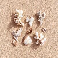 Summer vacation concept, Seashells and Corals on Sandy Beach mocha mousse trend color. Top view seashell, coral pieces on fine sand. Creative square layout, beige brown monochrome, minimal pattern photo
