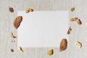 Top view autumn composition. Frame made natural materials, pine cones, acorns, moss, dry plants, berries with paper with empty space, autumnal background. Creative flat lay fall invitation card photo