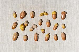 Top view autumn square pattern made natural materials, natural acorns oak tree, dry seeds on textile background. Autumnal trendy flat lay, earth-colored aesthetics fall still life image photo
