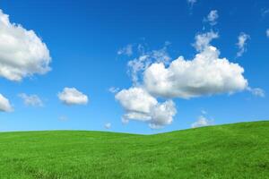 Green grass, blue sky with white fluffy clouds, beauty nature background. Perfect summer greenery field, hill, grassland. Nature environment landscape, lush green grass meadow, blue sky photo