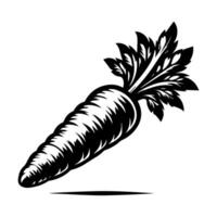 Carrot design graphics Carrot design graphics vector