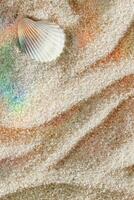 Seashell on Smooth Sandy background, One shell on fine sand with gentle wave pattern, minimal and peaceful beach-inspired composition under soft light with sunlight rainbow flare, top view, copyspace photo