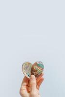 Seashells of abalone as heart in human hands, sea and ocean nature love concept, natural texture closeup shell on white blue background, pearl shine surface of Haliotis, earthy pastel color photo