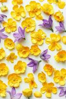 Minimal floral pattern of field flowers, top view Yellow and violet flower on white background, spring summer season concept, flat lay beauty nature, wild blooms texture, florals design photo
