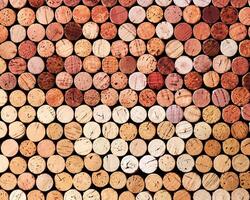 Collections of wine cork from white and red wine, natural texture bottle stoppers top view, colorful background from wooden corks. Natural textured stoppers colored. Winery, winemaking concept. photo