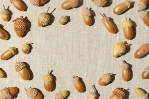 Autumn frame from natural dry acorns oak tree on linen fabric table, neutral background. Round border from natural materials. Autumn, fall concept. Minimal trend flat lay, top view, copy space photo