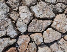 Parched Land with Deep Cracks Due to Heat photo