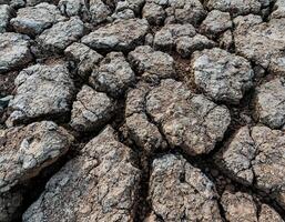 Arid and Barren Soil with Drought Cracks photo