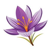 a purple flower with yellow petals on a white background vector