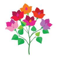 a bouquet of flowers on a white background vector