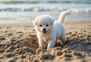 Adorable Puppy Playing and Digging in a Sandy Beach Pit photo